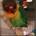 myleatherbook avatar