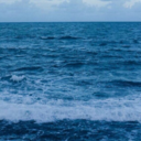 mylesbianteachercrush-blog avatar