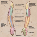 mylifeasamedstudent avatar