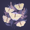 mylifeasbonnnie avatar