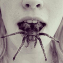 mylifeasm-blog avatar