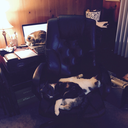 mylifeinblogyears avatar