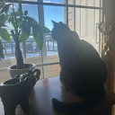 mylightrituals avatar