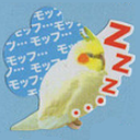 mylilbirbs avatar