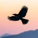 mylittleoc-fuse-n-ships avatar