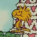 mylittlewoodstock avatar