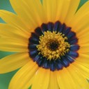 mylonglifemotivation avatar