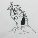 mymed-studentlife avatar