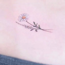 mymindismesblog avatar