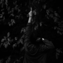 mymiserypalace avatar