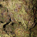 mymomdrankmypot avatar