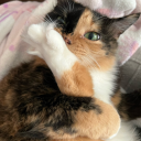 mymomfoundmyurl avatar