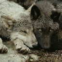 mymonandsymon avatar