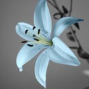 mymorningstar avatar