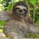 mymumsaysimcool avatar