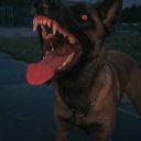 mynameismicheal avatar