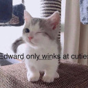 mynameisnotcarl avatar