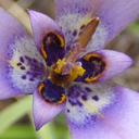 mynameistakengeez avatar