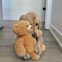 mynameisyikik avatar