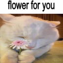 mynniemourning avatar