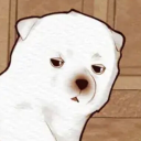 mynon-existentsociallife avatar