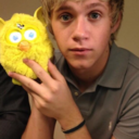 myonlyniallhoran-blog avatar