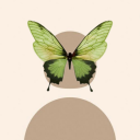 myownpreciousworld avatar