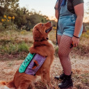 mypersonalhelel avatar