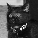 myphoneisonmute avatar