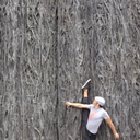 myplace2bfree avatar