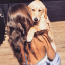 myquestforhapiness avatar