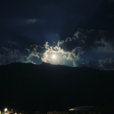 myquestforselfparody99 avatar