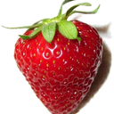 myrandomstrawberries avatar