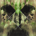 myroominthetrees avatar