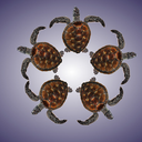 myselfinanutshell avatar