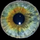 myshiptrashcan avatar