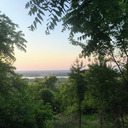 myshitliveshere avatar