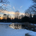 mysleepingflowers avatar