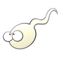 mysperm-blog avatar