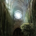 mysteriouslysobarbarian avatar