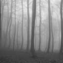 mysteriousmisadventures avatar