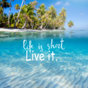 mystery-girl112 avatar