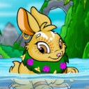 mystery-island avatar