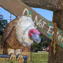 mystery-mine-1892 avatar