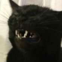 mystery-twin-nations avatar