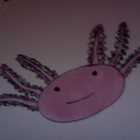 mysteryaxolotl avatar