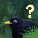 mysterysolver avatar