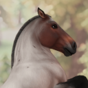 mysterysoulrider avatar