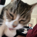 mystic-moon-maiden avatar