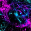 mystic-synergy avatar